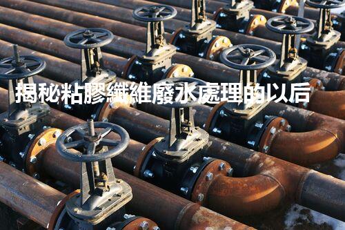 揭秘粘膠纖維廢水處理的以后之路？